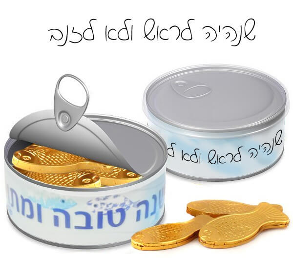 מארז דגי שוקולד