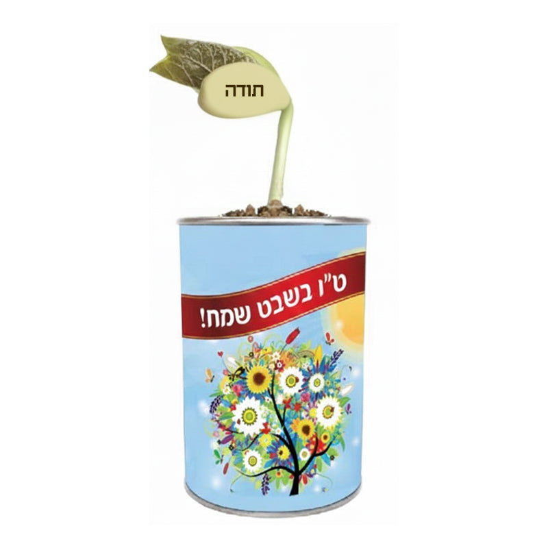 שעועית עם מסר בפחית ממותגת