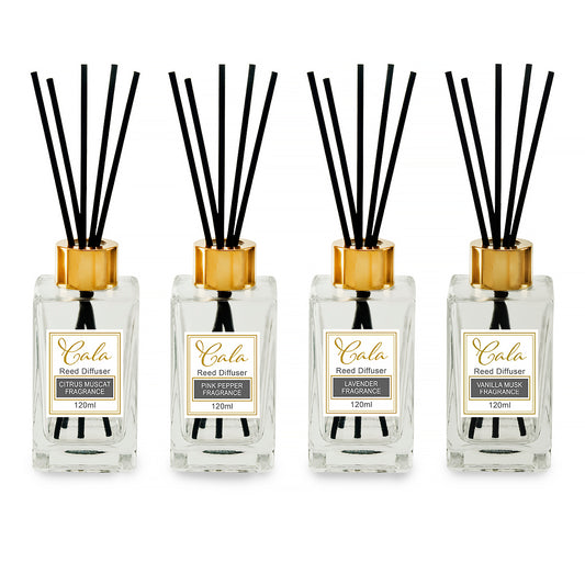 מפיץ ריח עם זר מקלות