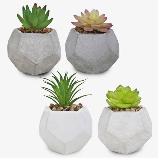 צמחים מלאכותיים בכלי מחומש