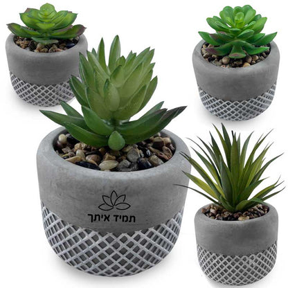 סוקלנטים וקקטוסים  מלאכותיים בכלי חמר – אלוקסיה