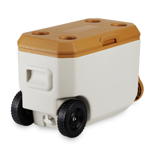 צידנית על גלגלים