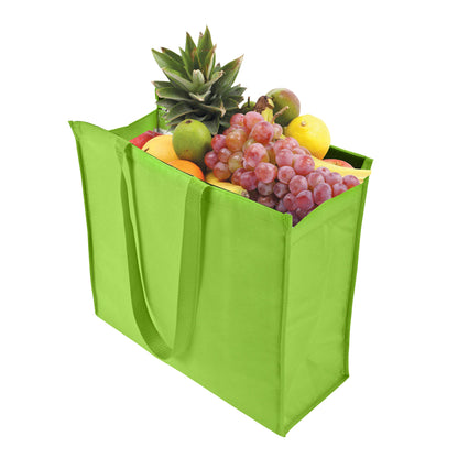תיק קניות, צידנית