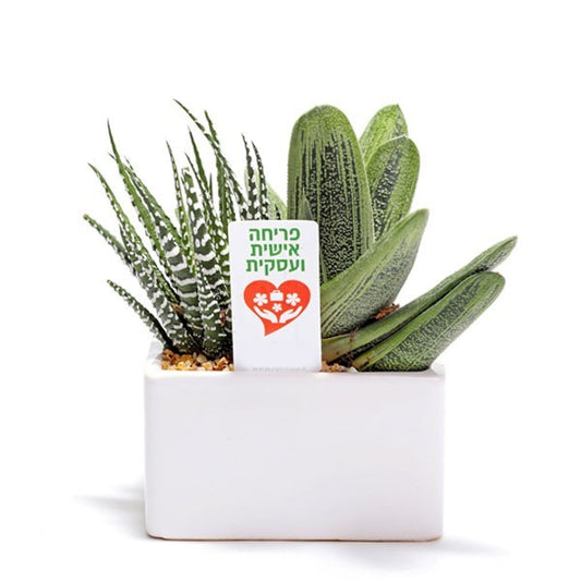 עציץ פריחה 12/9/7 ס"מ