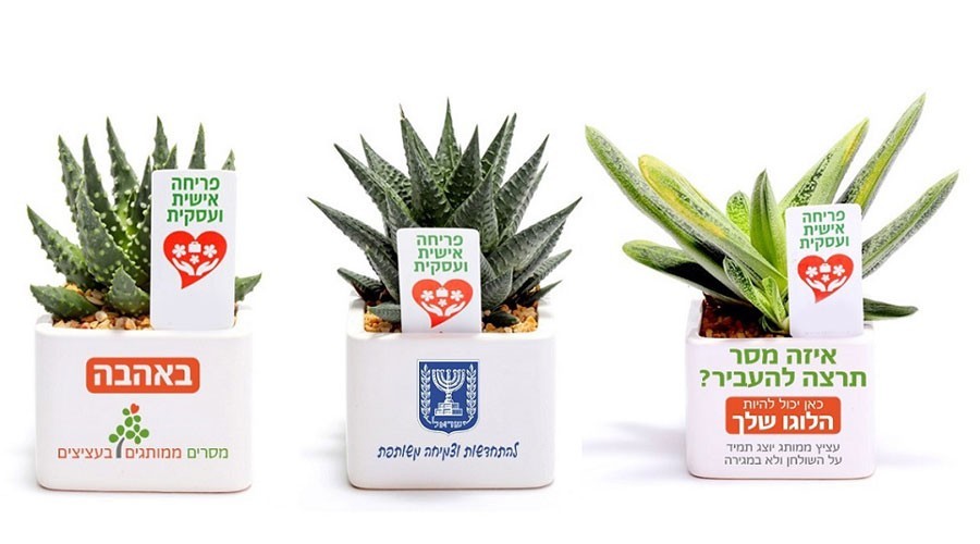 עציץ פריחה 12/9/7 ס"מ