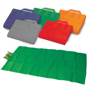 מחצלת חוף עם כרית